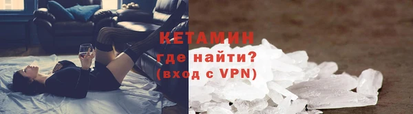 шишки Абаза