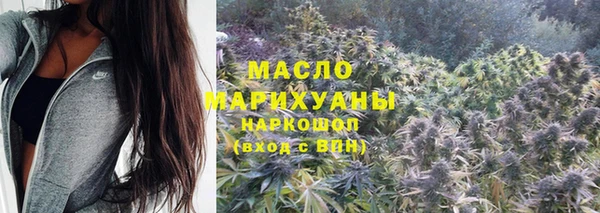 шишки Абаза
