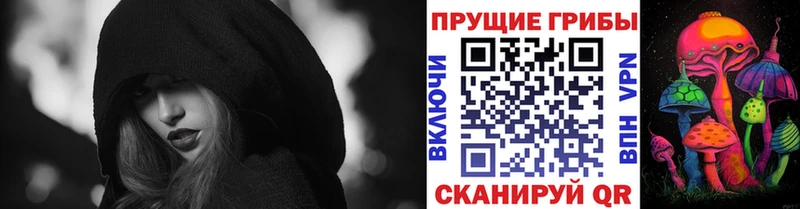 это клад  Иваново  Псилоцибиновые грибы ЛСД 