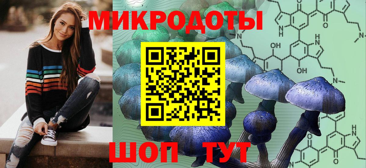 Псилоцибиновые грибы мицелий Иваново