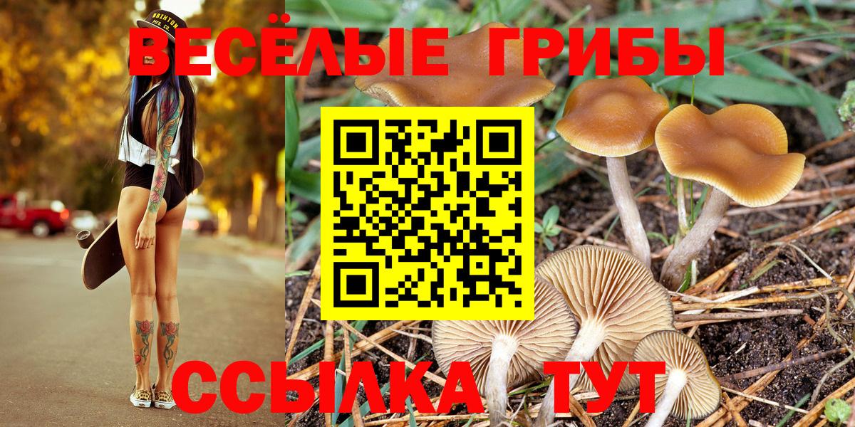 Галлюциногенные грибы Psilocybine cubensis  Вход с VPN  Иваново 